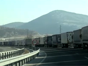 Јагоде и камиони - шта спречава извоз српског воћа