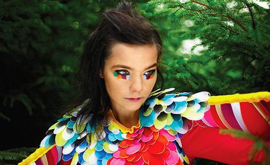 Bjork otkazuje koncerte