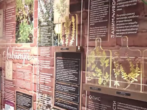 Интерактивна изложба „Биљке као зачин – у царству мириса, укуса и боја“, у галерији Природњачког музеја