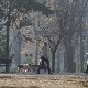 У Београду и више градова Србије висок степен загађења ваздуха