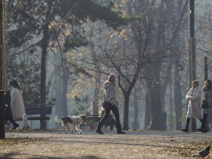 У Београду и више градова Србије висок степен загађења ваздуха