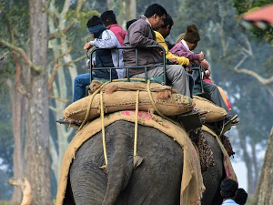 Зашто се туристи у Тајланду моле да не јашу слонове