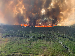 Шумски пожари бесне Канадом – због дима Њујорк најзагађенији град на свету