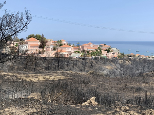 Пожари на Родосу стављени под контролу, укинуто ванредно стање