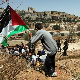 Двојица Палестинаца погинула у сукобима са израелским снагама на Западној обали