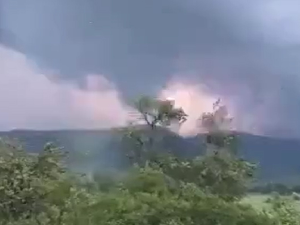 На Бледу пало дрво на туристички воз, у Илирској Бистрици беснео торнадо