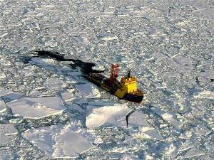 Северни пол остаје без леда већ у лето 2030. године?
