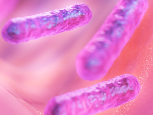 Како микроби у нашим цревима могу спречити гојазност