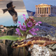 Како je заштита Акропоља и Метеора сачувала грчке гуштере и орлове 