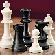 Шаховски турнир за децу из дијаспоре и региона