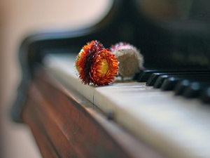 Прва клавирска соната Франца Шуберта 