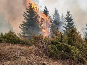 Угашен велики пожар код Пријепоља