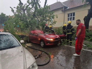 Невреме захватило Србију – у Сомбору настрадала жена, у Мачви црвени метеоаларм, што значи веома опасно време