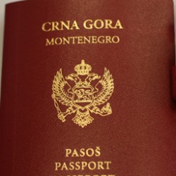 pasos-cg-1.jpg pasos-cg-1.jpg