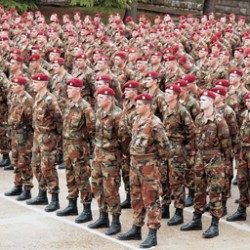 Specijalna Brigada Pancevo