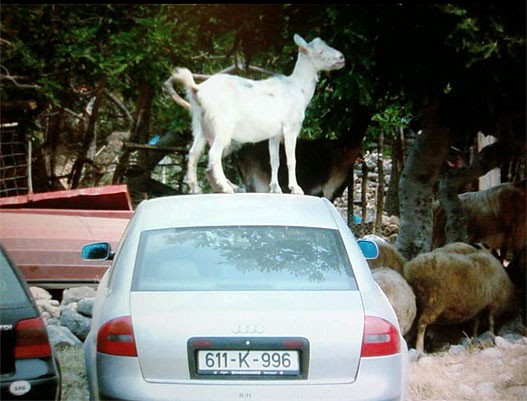 Slika