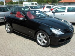 auto-plac-1.jpg auto-plac-1.jpg