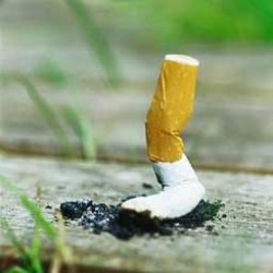 cigara1.jpg