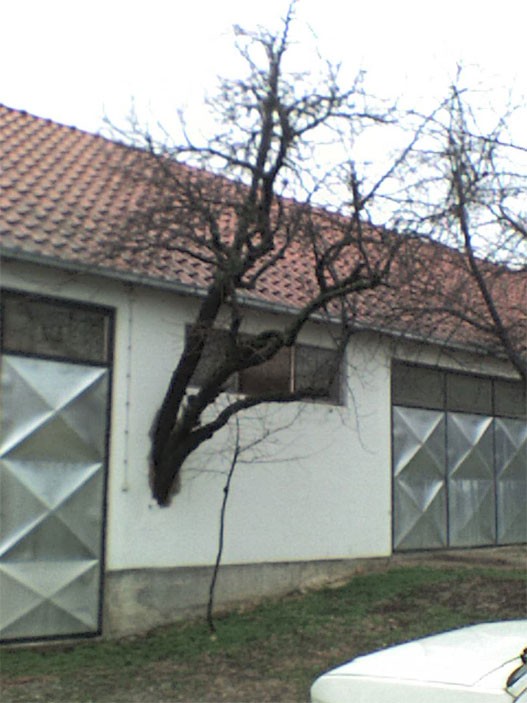 Slika
