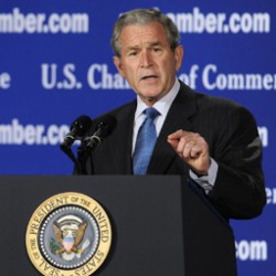bush.jpg bush.jpg