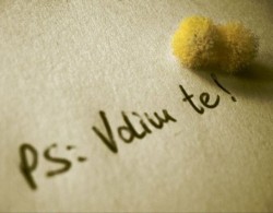 volimtepe.jpg volimtepe.jpg