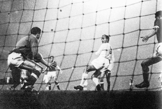 distefano1.jpg