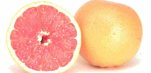 grapefruit1.jpg