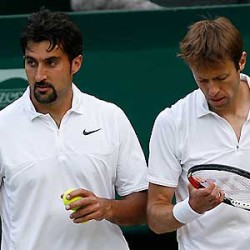 zimonjic_nestor2.jpg