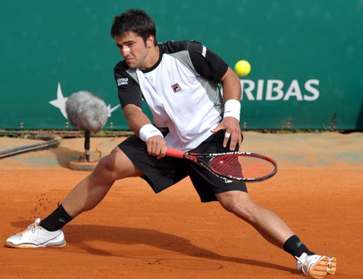 tipsarevic3.jpg