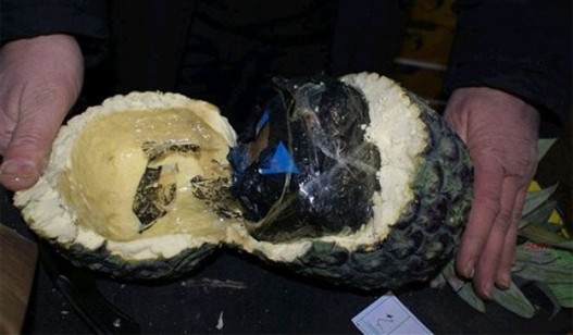 ananas-kokain-527.jpg ananas-kokain-527.jpg