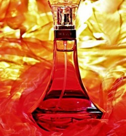 bej-t67.jpg bej-t67.jpg