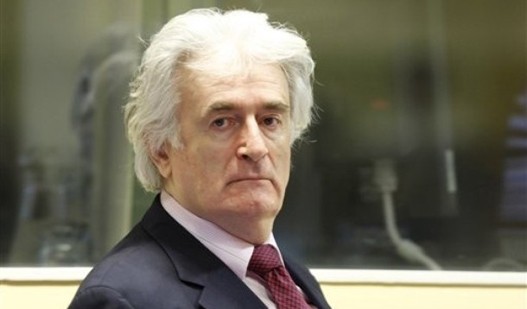 Karadzic1-220610.jpg