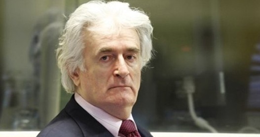 Karadzic1-220610.jpg