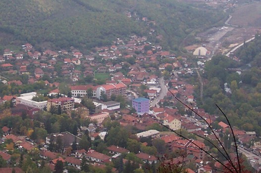 zvecan1.jpg