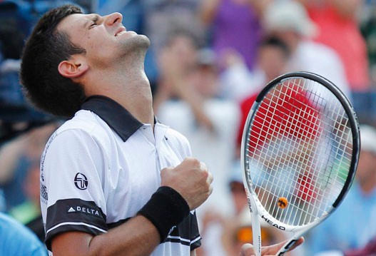 nole1.jpg