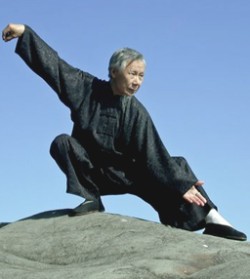 Tai-chi-v.jpg