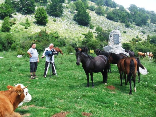 suva planina sampas.jpg