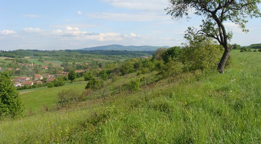 Veliki Siljegovac.jpg
