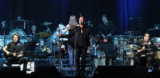 sting-box.jpg sting-box.jpg