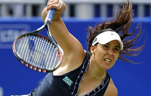 bartoli1.jpg