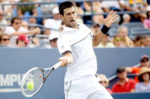 nole4.jpg