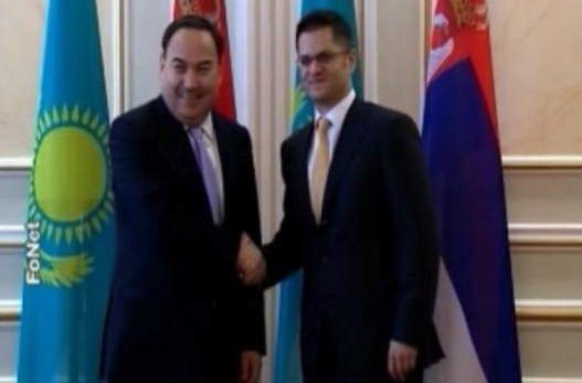 Vuk-Jeremic181111.jpg
