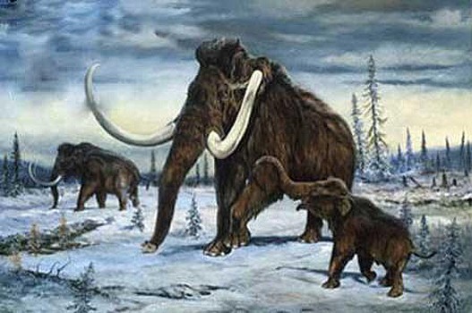 mamut-text.jpg