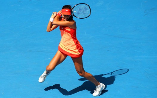 ana-a2.jpg
