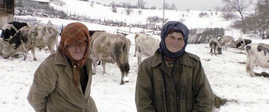 3.jpg 3.jpg
