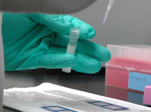 Laboratorijske-analize.jpg Laboratorijske-analize.jpg