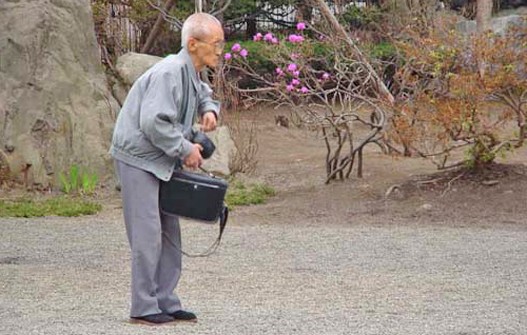 Japanci-2.jpg Japanci-2.jpg