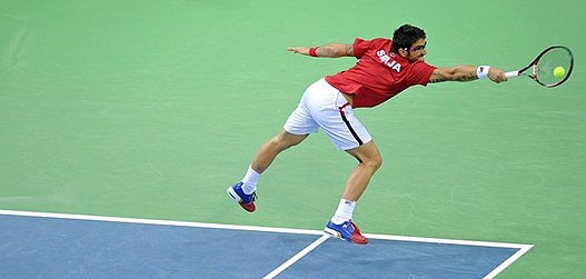 tipsarevic10.jpg