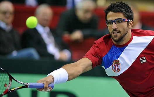 tipsarevic12.jpg