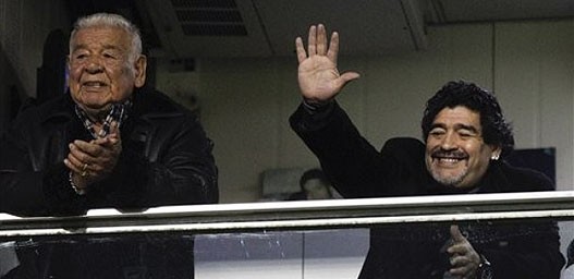 D-Maradona.jpg
